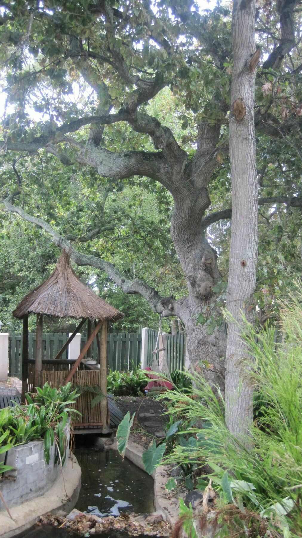 Matshana Lodge Hermanus Kültér fotó